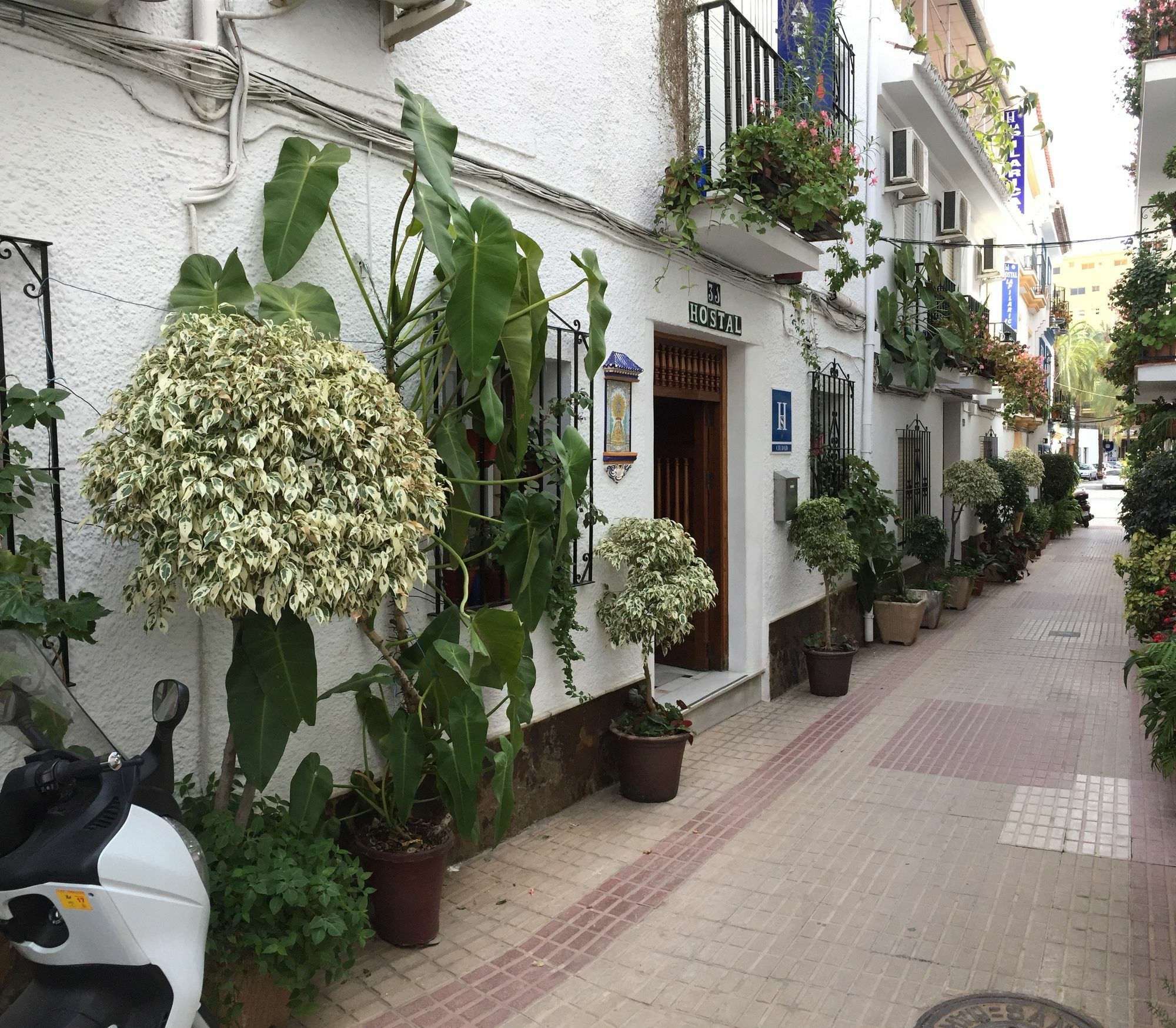 Hostal La Pilarica Marbella Zewnętrze zdjęcie